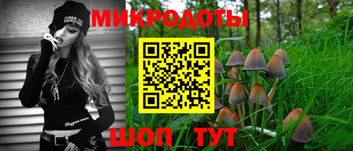 Галлюциногенные грибы Psilocybine cubensis  Вход с VPN  Шали  Галлюциногенные грибы Psilocybe 